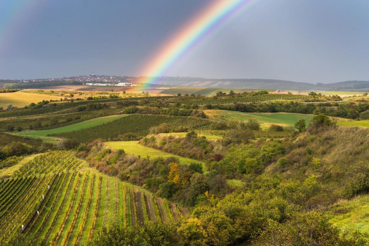 Vinoza - Ubytovani A Vinny Sklep Velke Bilovice Rulandova Dış mekan fotoğraf