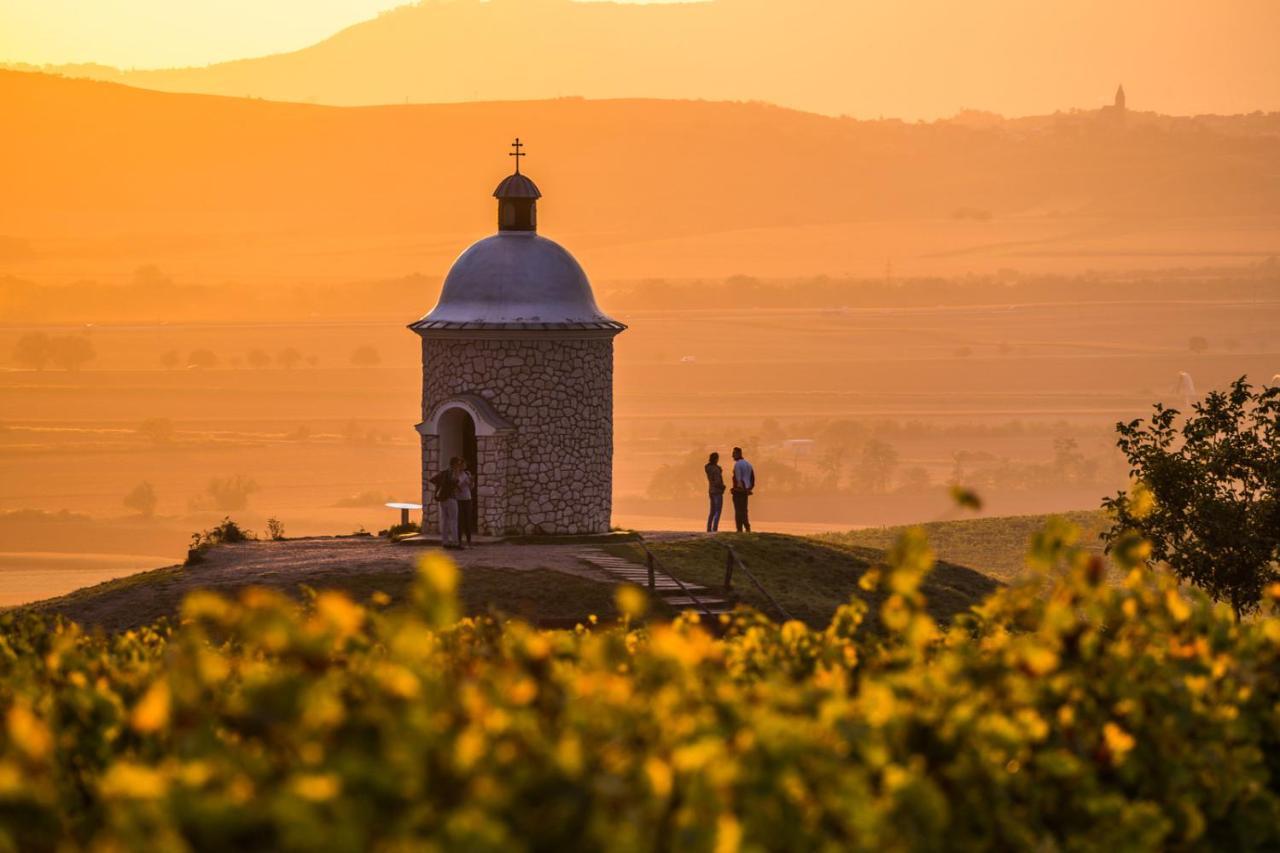 Vinoza - Ubytovani A Vinny Sklep Velke Bilovice Rulandova Dış mekan fotoğraf