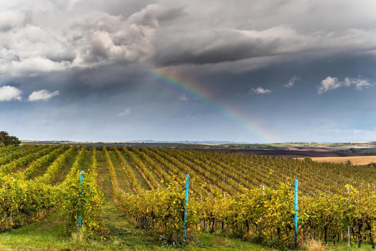 Vinoza - Ubytovani A Vinny Sklep Velke Bilovice Rulandova Dış mekan fotoğraf