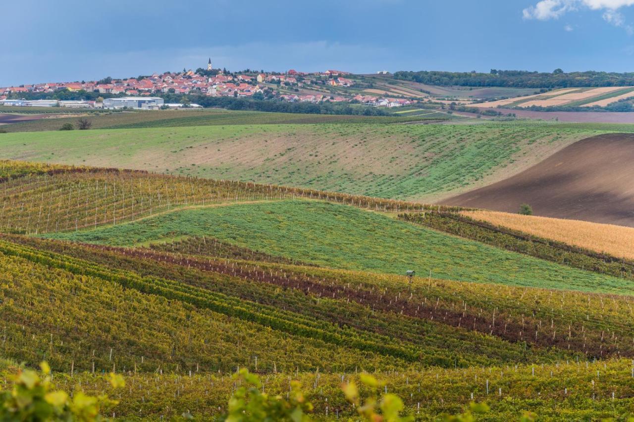 Vinoza - Ubytovani A Vinny Sklep Velke Bilovice Rulandova Dış mekan fotoğraf